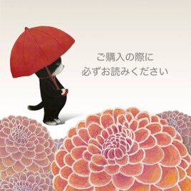 ★ご購入の際に必ずお読みください★の画像